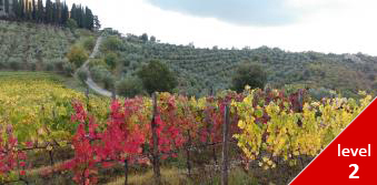 Hiking in Tuscany