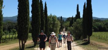 Hiking through Tuscan vineyards