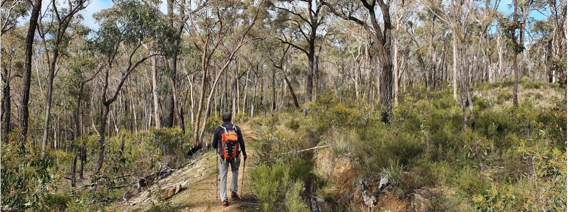 Hiking the Goldfields Track