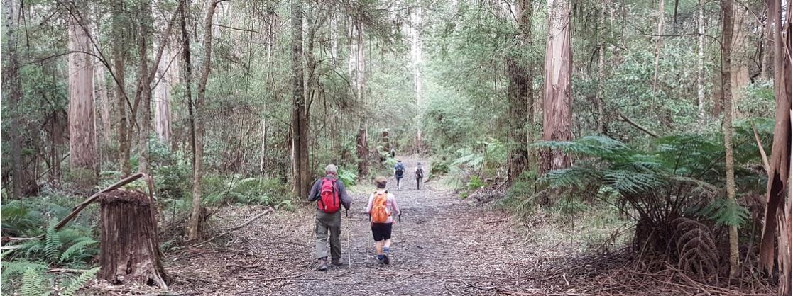 Hedonistic Hiking Great Ocean Walk