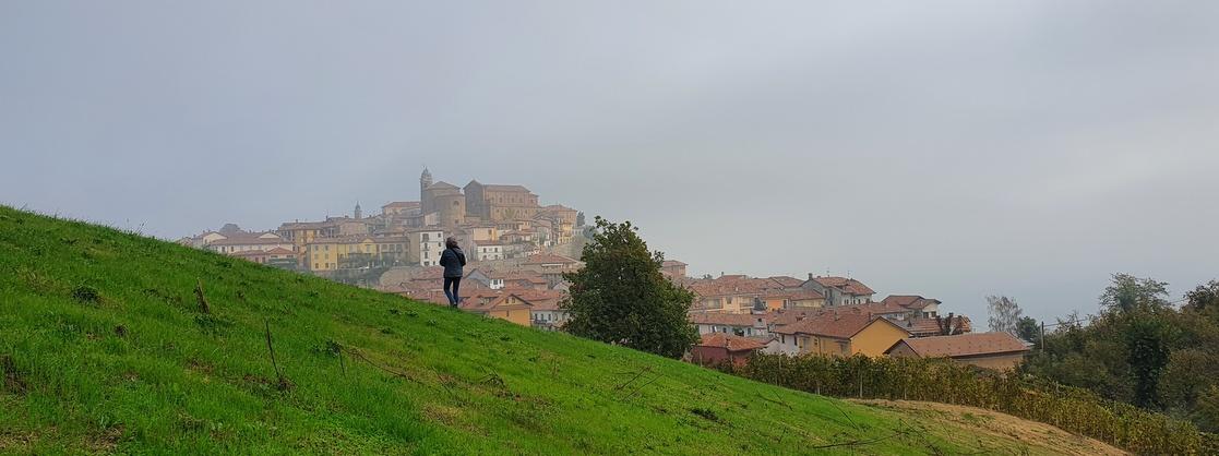 Autumn Days in Piedmont