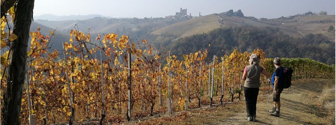 Hiking in Piedmont