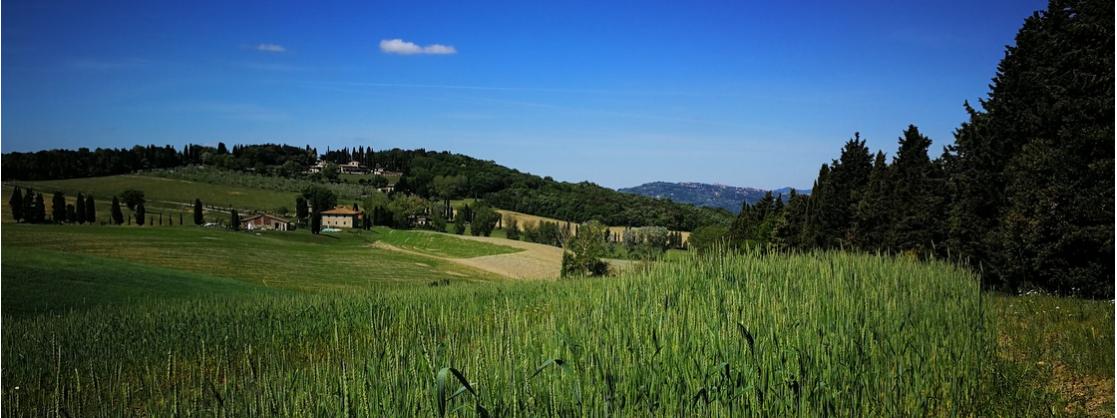 Tuscan landscape in spring