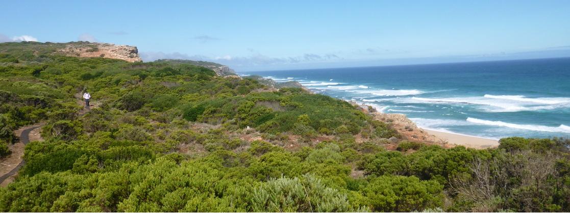 Hedonistic Hiking Great Ocean Walk