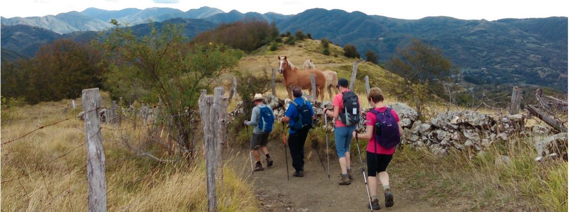 Hiking in Tuscany