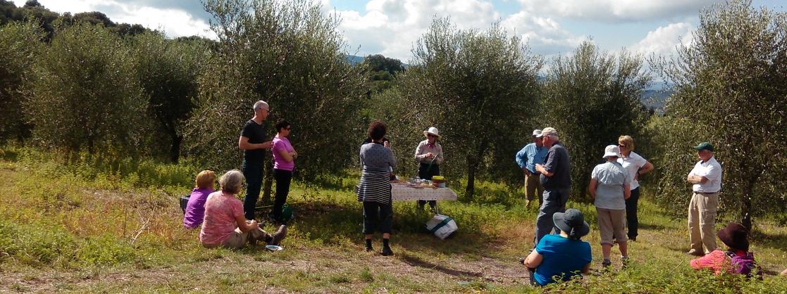 Hiking in Tuscany