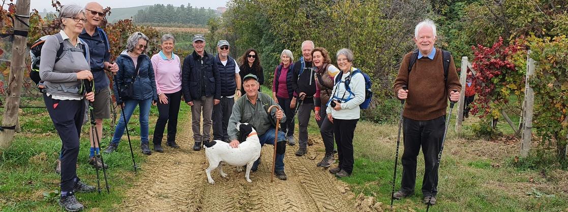 Truffle Hunting Piedmont
