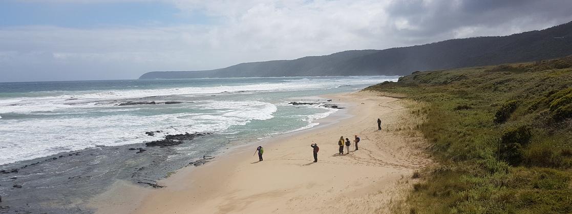 Hedonistic Hiking Great Ocean Walk