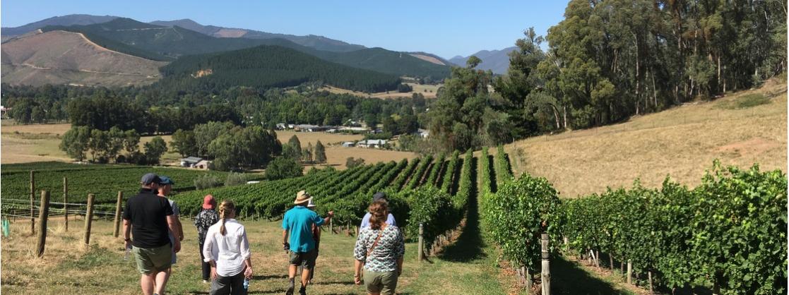 hedonistic hiking tours