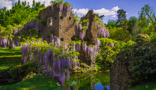 The famous Garden of Ninfa in the spring, Lazio, Italy