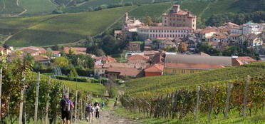 Wines of Piedmont