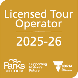 Licensed Tour Operator