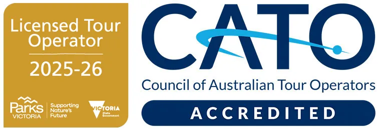 Licensed Tour Operator 2025 - 2026