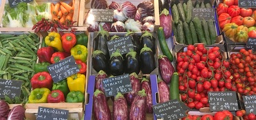 The Champion of Slow Food