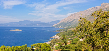 Wines of Basilicata