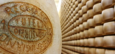 The Best Parmesan
