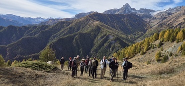 Join the Grey Hiking Boom