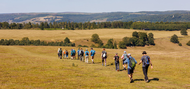 Join a local walking group